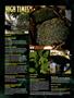Page: - 8 | High Times