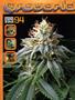 Page: - 81 | High Times