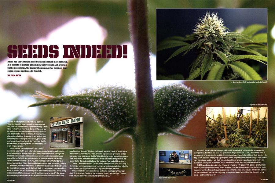 SEEDS INDEED!