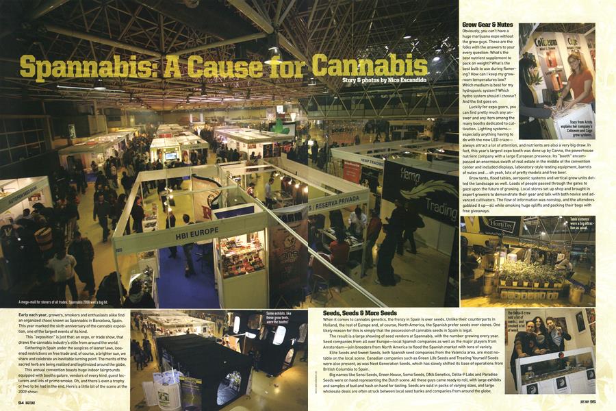 Spannabis: A Cause for Cannabis