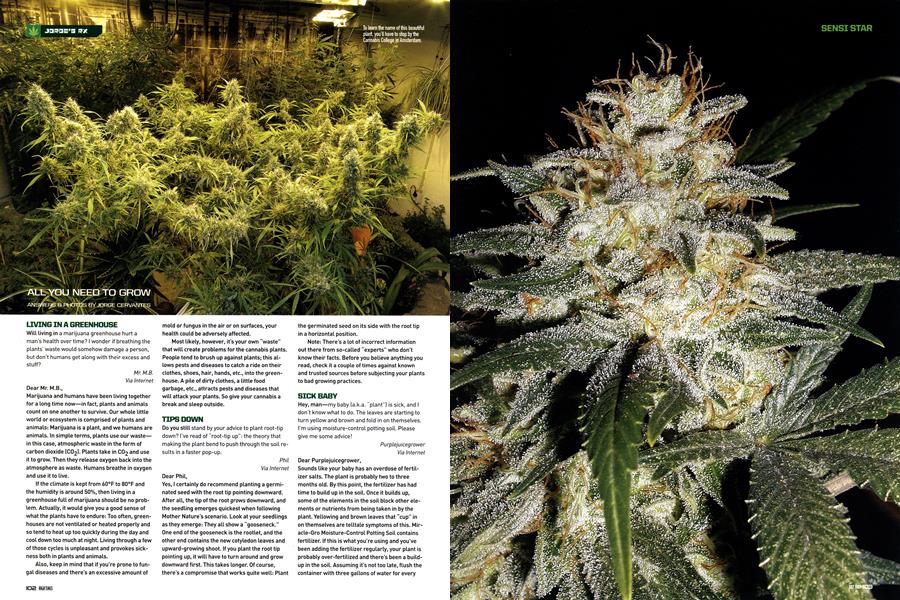 ALL YOU NEED TO GROW
