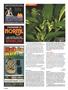 Page: - 106 | High Times
