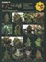 Page: - 119 | High Times