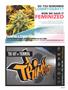 Page: - 39 | High Times