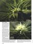 Page: - 44 | High Times