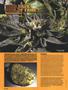 Page: - 52 | High Times