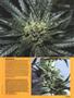 Page: - 53 | High Times