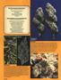 Page: - 54 | High Times