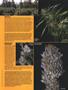 Page: - 55 | High Times