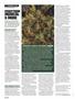 Page: - 86 | High Times