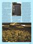 Page: - 95 | High Times