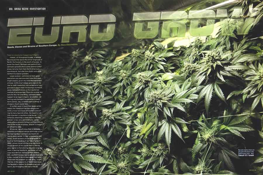 EURO GROW