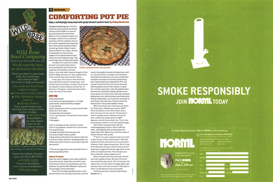 COMFORTING POT PIE