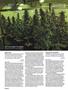 Page: - 102 | High Times