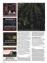 Page: - 106 | High Times