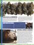Page: - 12 | High Times