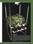 Page: - 39 | High Times