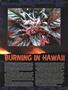 Page: - 55 | High Times