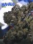 Page: - 60 | High Times