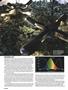 Page: - 66 | High Times