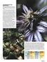 Page: - 67 | High Times
