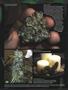 Page: - 84 | High Times