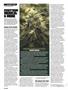 Page: - 86 | High Times