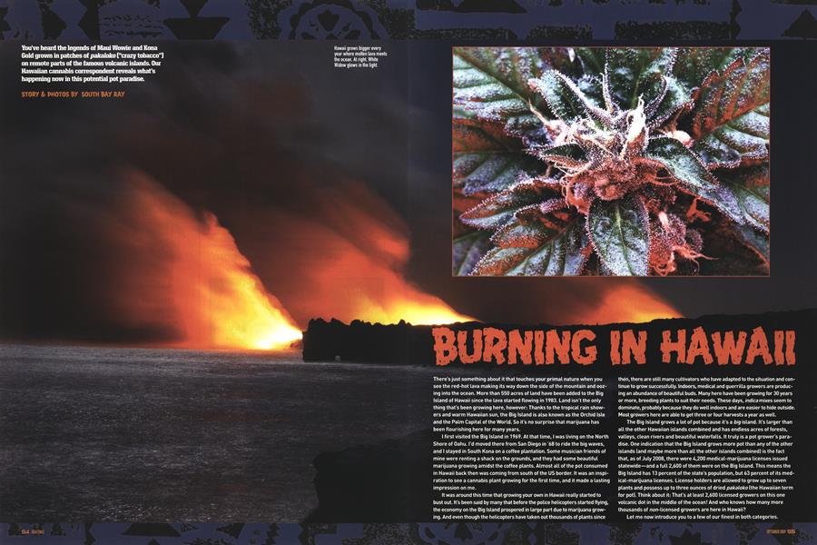 BURNING IN HAWAII
