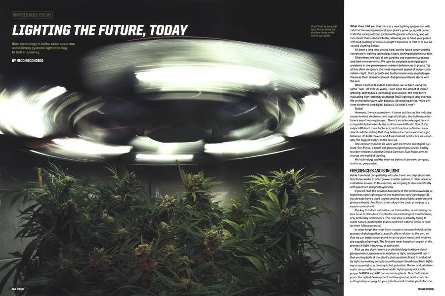 LIGHTING THE FUTURE, TODAY