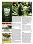 Page: - 104 | High Times