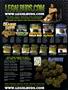 Page: - 2 | High Times