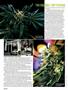Page: - 36 | High Times