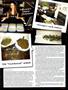 Page: - 45 | High Times