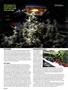 Page: - 54 | High Times
