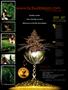 Page: - 78 | High Times