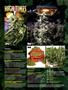 Page: - 8 | High Times