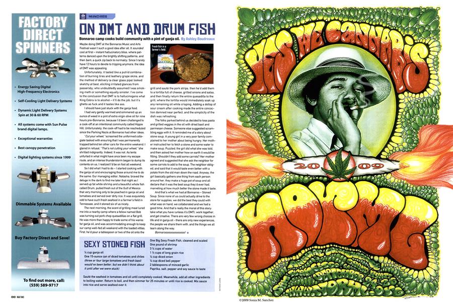 ON DMT AND DRUM FISH
