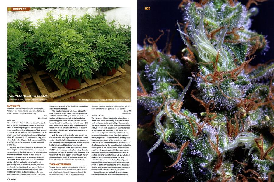 ALL YOU NEED TO GROW