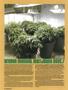 Page: - 112 | High Times