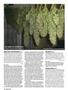 Page: - 118 | High Times