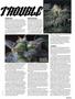 Page: - 39 | High Times