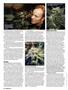 Page: - 40 | High Times