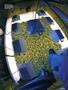 Page: - 63 | High Times