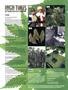 Page: - 8 | High Times