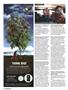 Page: - 80 | High Times