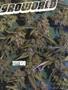 Page: - 93 | High Times