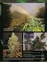 Page: - 96 | High Times