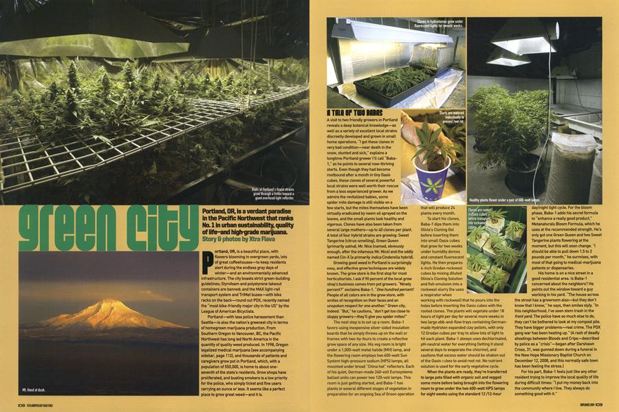 green city