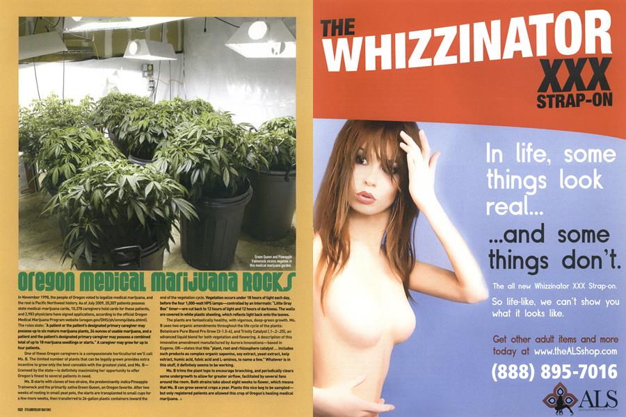 OREGON MEDICAL MARIJUANA ROCKS