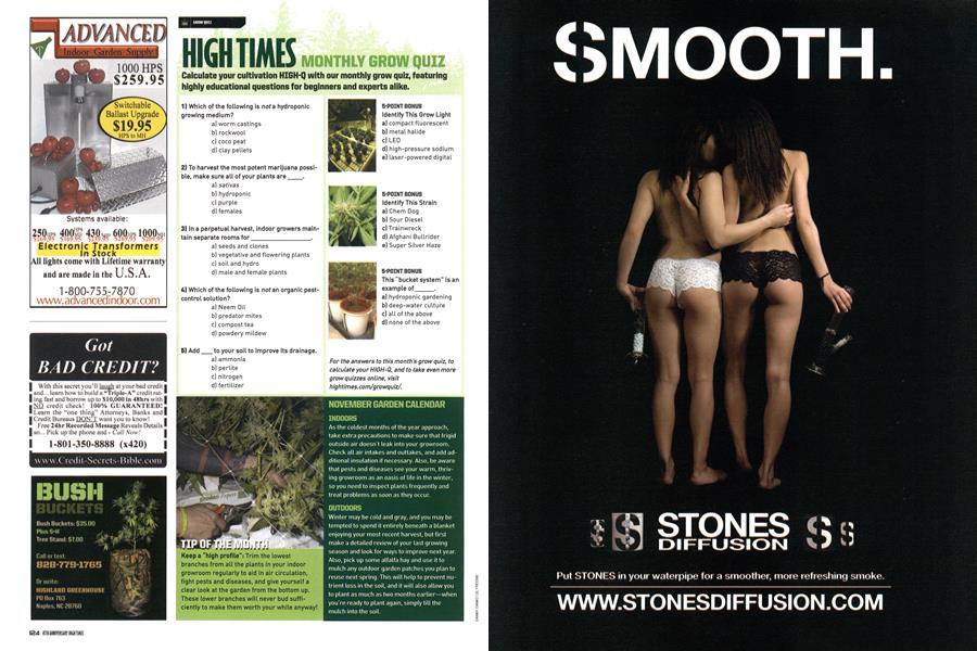HIGH TIMES MONTHLY GROW QUIZ
